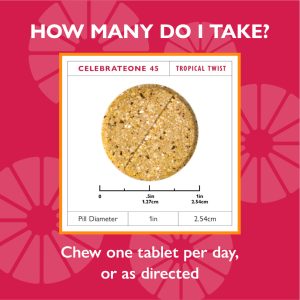 CelebrateONE 45 Once Daily Bariatric Chewable Multivitamin with Iron