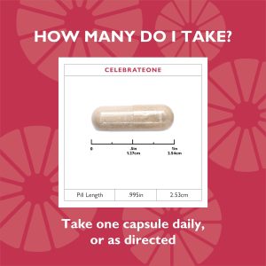 CelebrateONE Bariatric One A Day Multivitamin Capsules. Iron Free